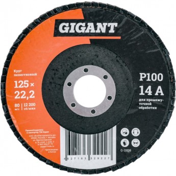 Лепестковый круг GIGANT G-11038