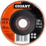 Лепестковый торцевой круг GIGANT GRF-120 1492518