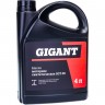 Синтетическое моторное масло GIGANT GGT-05 1947577